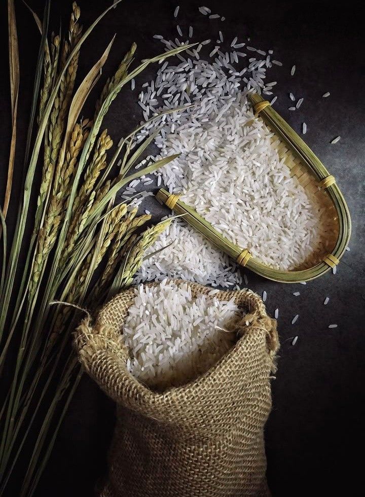 Arroz
